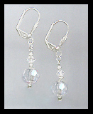 Small Clear Crystal Earrings