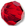 Cherry Red Crystal Earrings