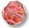 Coral Peach Crystal Earrings